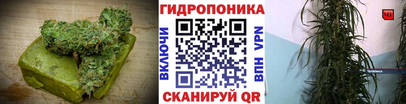 дарк нет Telegram  как найти   Гуково  Еда ТГК конопля 