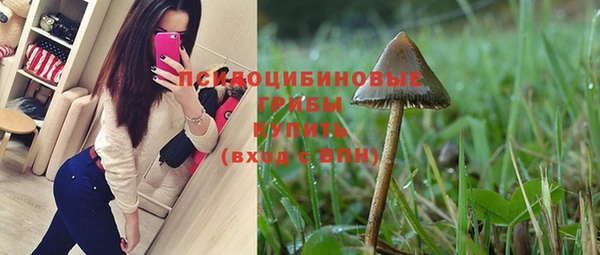 круглые Алзамай