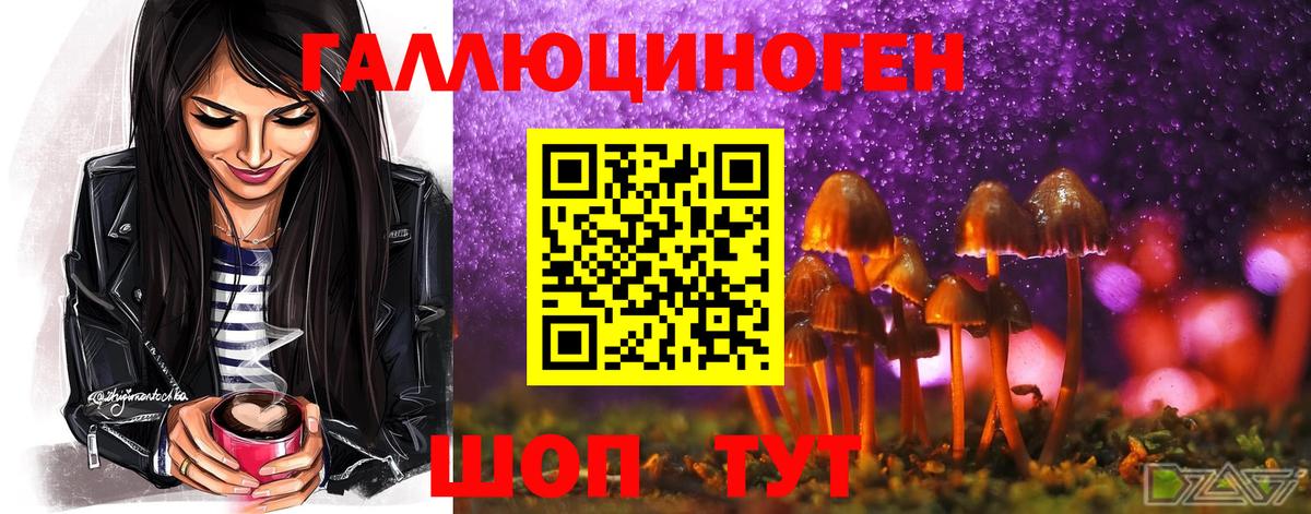 Псилоцибиновые грибы ЛСД  Галлюциногенные грибы прущие грибы  Гуково  Вход с VPN 